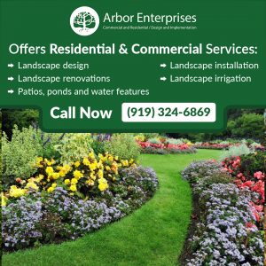 landscape company in Pittsboro NC